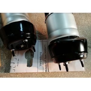 Front Airmatic Shock Strut For Mercedes W166 A1663201313 A1663201413