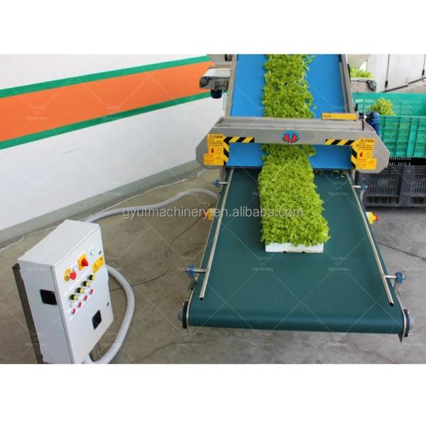 Microgreens Harvester Machines Gear Drive Electric Babyleaf Harvester by
