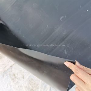 Project Solution Capability HDPE Geomembrane Pond Liner for Fish Shrimp Farming