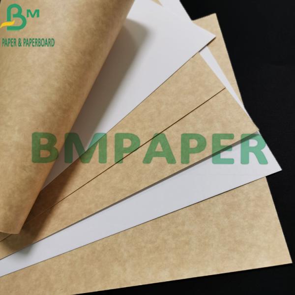 300gsm Food Grade Coated White Kraft Paper With Brown Back For Food Container