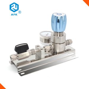 Stainless Steel Argon Gas Panel Pressure Regulator Valve