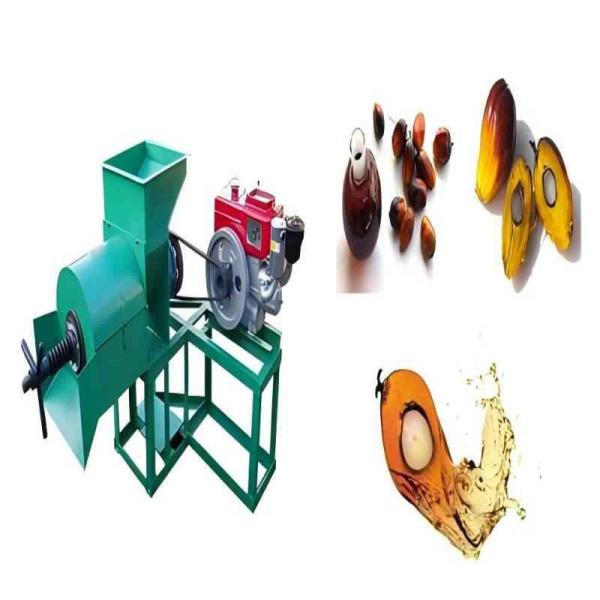 Complete Cooking Oil Refinery Machine High-Efficiency Palm Oil Processing