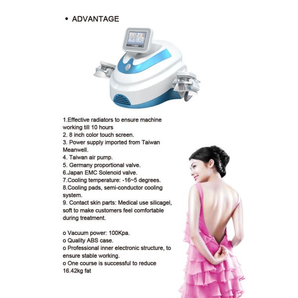 2 Cryo Handles Portable High Quality Cryo Machine for salon use body slimming