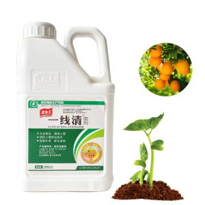 100% Soluble Soil Conditioner Fertilizer Seaweed Extract For Promoting Plants