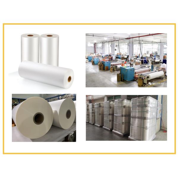 Glossy And Matte Transparent BOPP Thermal Lamination Film With Glue 15mic To