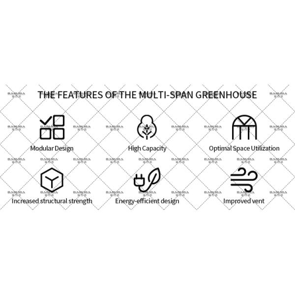 Large Multi-Span PE Greenhouse 50-100m Length 7-10m Width