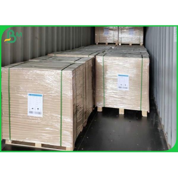 Long Grain White Plain 60g 70g 80g Rolls Woodfree Paper For Offset Printing Long Grain White Plain 80gsm 100gsm Rolls Woodfree Paper For Offset Printing