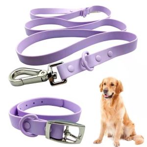 Anti Fouling Waterproof PVC Dog Collar And Leash Set