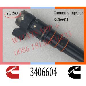 CUMMINS Diesel Fuel Injector 3406604 3087648 Injection M11 Engine