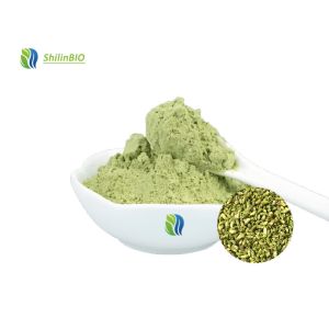 Rutin Extract 95% Rutin