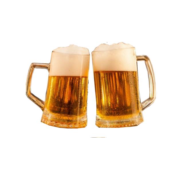 50L Mini Brewhouse Home Beer Brewing Equipment Made For Brew House Brewery