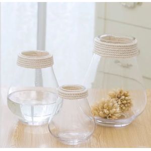 Simple Modern Clear Glass and Rope Glass Vase