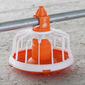 China Auto Pan Feeder Steel Broiler Poultry Equipment on sale