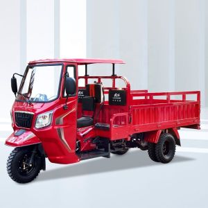 China 200cc Tricycle Motor Tricycle with Chassis 50*100 in Hong Kong Loading Capacity 1200kg on sale