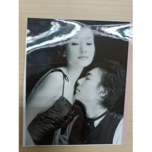 Packaging Film Matte/Glossy PET Laminate EVA Adhesive Line for Paper and