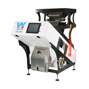 WENYAO Peeled Garlic Separating Machine with high frequency ejectors