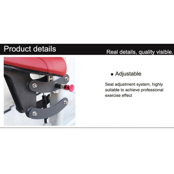 Heavy Duty Matrix Strength Training Equipment / Abdominal Crunch Machine