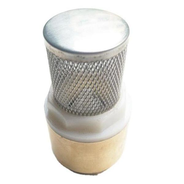 Buy Bellows Globe Tubular Vertical Brass Spring Check Valve at wholesale prices