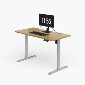 Quality Customization Home Office Electric Standing Desk With Cable Storage for sale