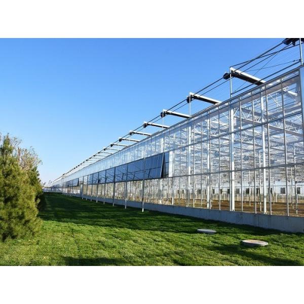 Juxiang prime s Controlled Environment Greenhouse System within Building