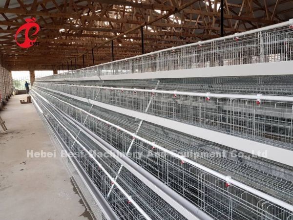 Chicken 12 Cells Layer Battery Cage System 4 Tier For Farm Adela