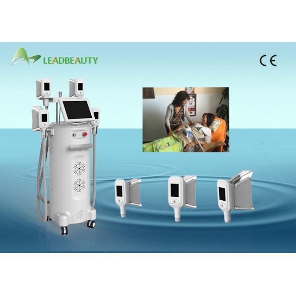 Buy LED Light Cryolipolysis Slimming Machine / anti cellulite fat reduction equipment at wholesale prices