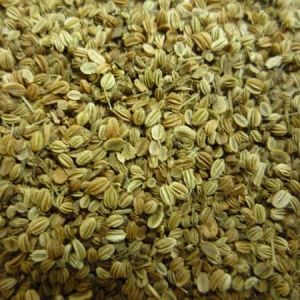 China wholesale Fructus cnidii extract powder-- Cnidium Monnieri (L.) Cuss