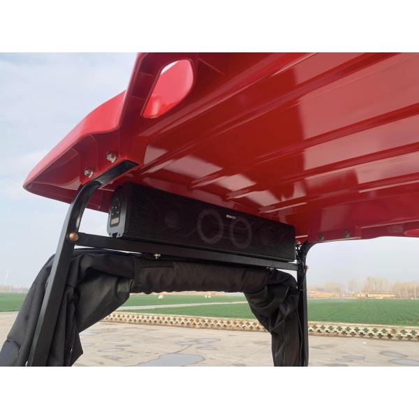 Enhanced Visibility 2 Seater Golf Cart With Striking LED Lights