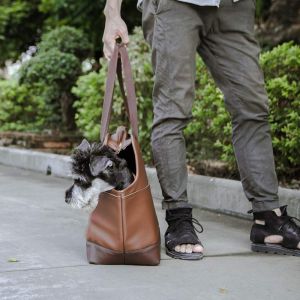 Amazing design new style Soft pet carrier travel