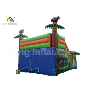 Cartoon Printing Kids Amusement Inflatable Jumping Castle With Double Lane
