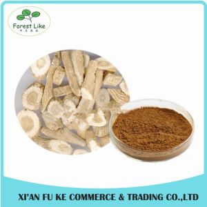 Wildginger Herb Indigowoad Root Extract / Radix Isatidis Extract 10:1