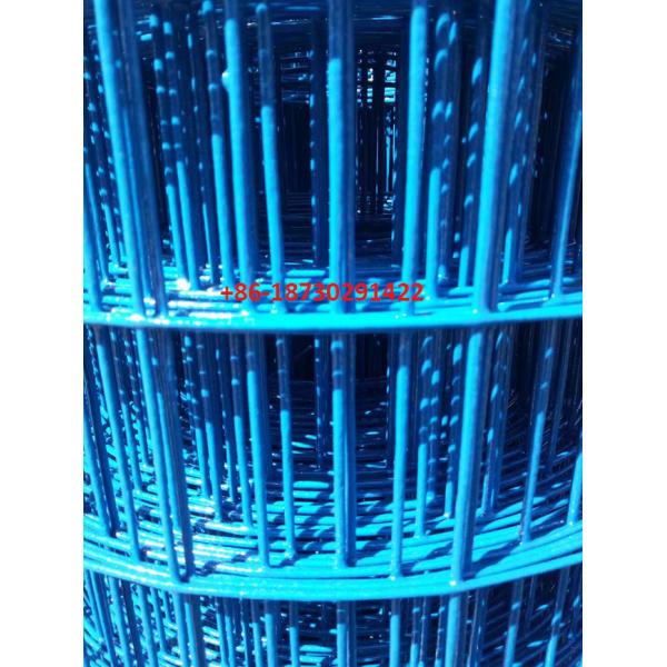 Yellow color PVC coating Holland wire mesh fence 30mmx30 mm Hole opening in 1.2 meter height