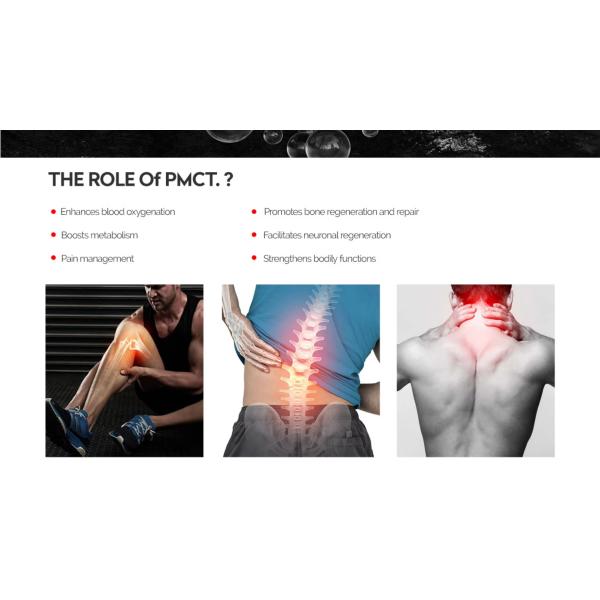 Portable Magnetic Therapy Loop High Intensity Physio Magnetic Machine