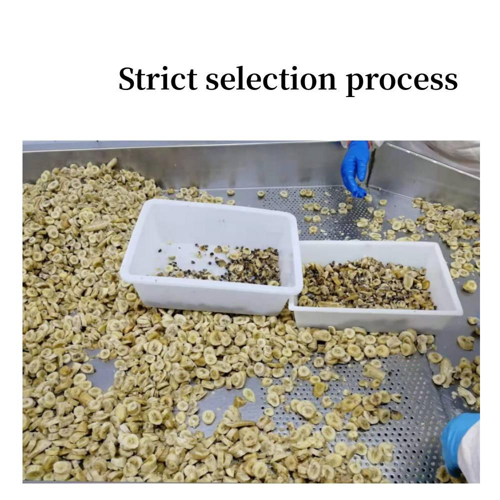 Frozen Iqf Banana From China Hot Product Sliced for Export With High Quality