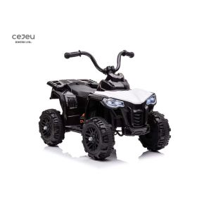 Quality 6V4AH Rechargeable Battery 6v Ride On Quad Electric for sale
