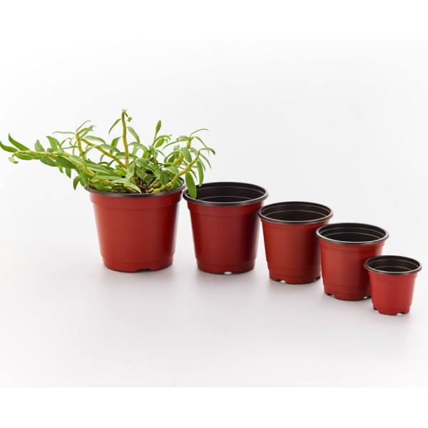 PP Plastic flower POTS 9 cm to 21 cm diameter specifications Double color flower