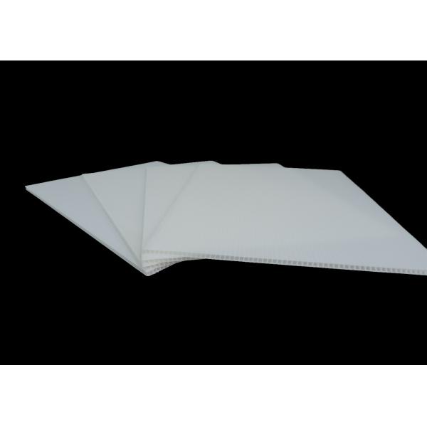Buy SGS Reusable White Corrugated Plastic Board 18x24" at wholesale prices