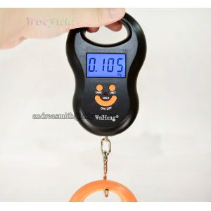 ABS Plastic Hanging Gram Scale , Units Conversion Handheld Luggage Scale