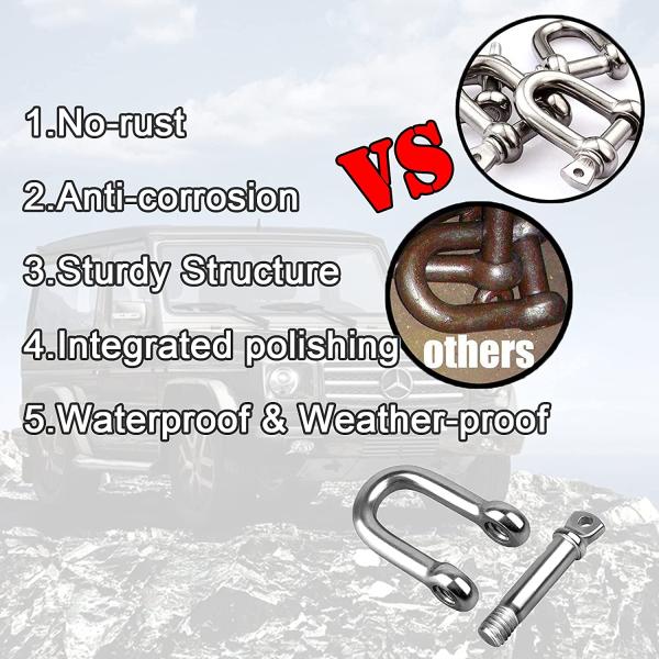 Stainless Steel D-Shackle for Heavy Rigging Strong and Dependable Rigging Solution