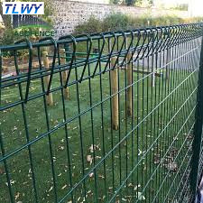 China Anping TLWY 30 Years Factory Powder Coated Double Wire Safety Fence