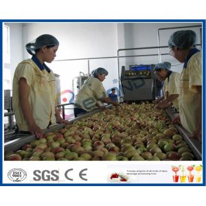 Vegetable / Fruit Processing Equipment With Automated Sorting System CE /