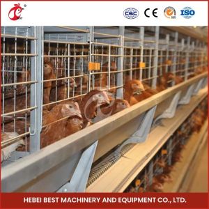 Easy to Install Automatic Poultry Layer Battery Cage System with Nipple Drinker