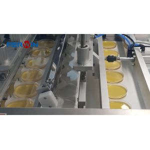 Efficient Petri Dish Filling Machine with Fixed-point Cap Closing