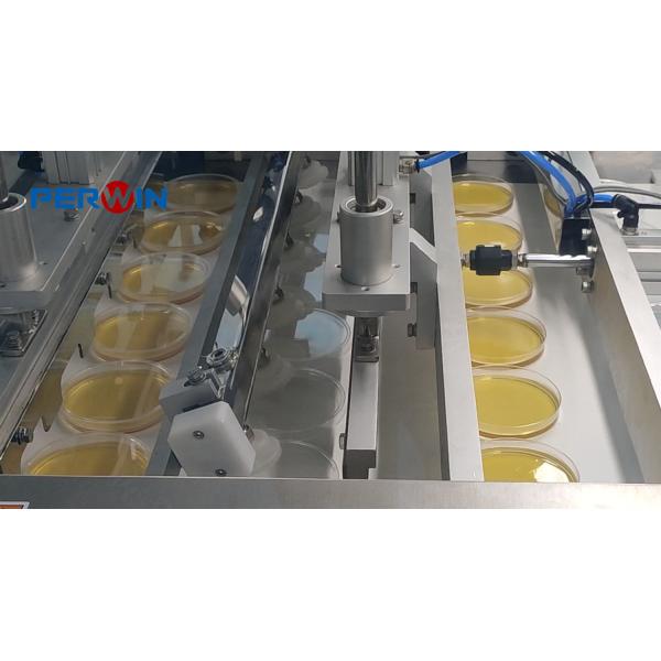 Highly Efficient Petri Dish Filling Machine with HMI and Servo Technology Cap