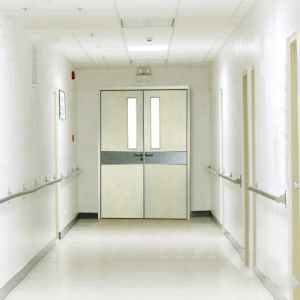 China 70mm Leaf Honeycomb Infilling UL Fireproof Steel Door on sale