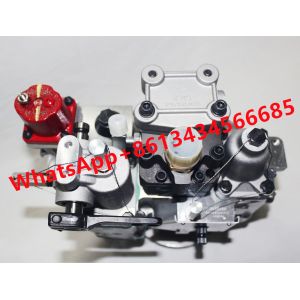 Quality NT855 Genuine PT Fuel Injection Pump Diesel Engine 3262033 for sale