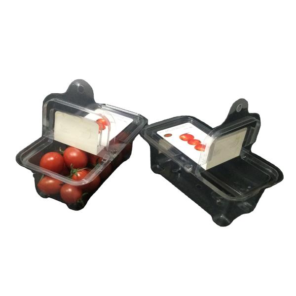 Buy PET Plastic Packaging Boxes Clamshell Plastic Containers Freshness Visible at wholesale prices