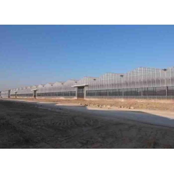 Buy PC Sheet Covered Pv Solar Power System Ommercial Greenhouse 4 M Bay 8 - 12 M Span at wholesale prices