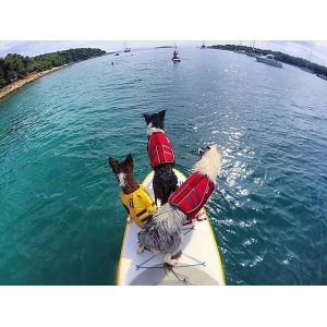 Easy Swimming Dog Life Jacket