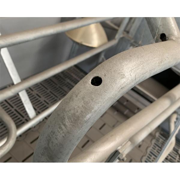 Curved Edge Design Pig Farrowing Crate Hog Equipment OEM / ODM Available